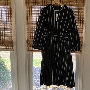 J. Crew Poplin Midi Stripe